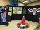 Stand des arts plastiques